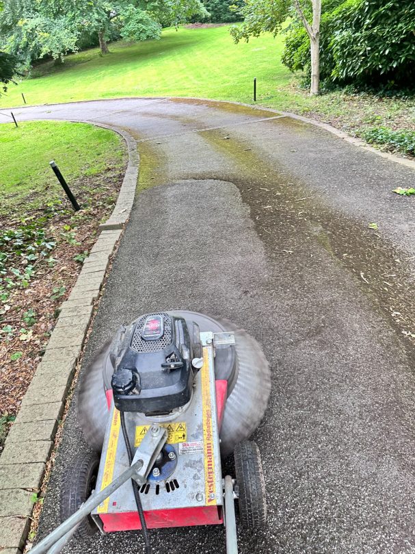 Moss Removal
